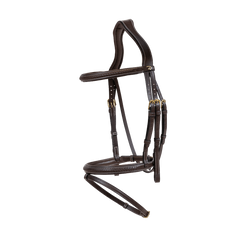 Dy'on D Collection Plaited Flash Noseband Bridle