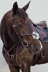 Dy'on D Collection Plaited Figure 8 Noseband Bridle