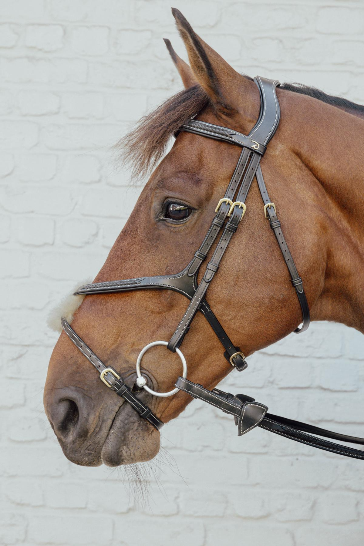 Dy'on D Collection Plaited Figure 8 Noseband Bridle