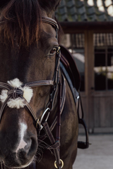 Dy'on D Collection Plaited Figure 8 Noseband Bridle