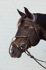 Dy'on D Collection Plaited Figure 8 Noseband Bridle