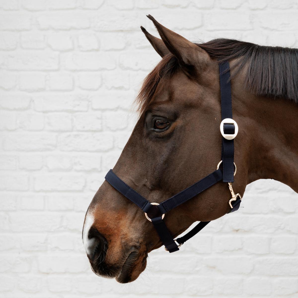 Kentucky Horsewear Nylon Halter