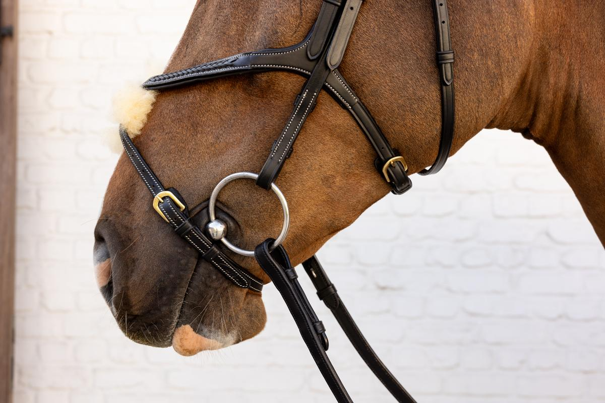 Dy'on D Collection Plaited Figure 8 Noseband Bridle