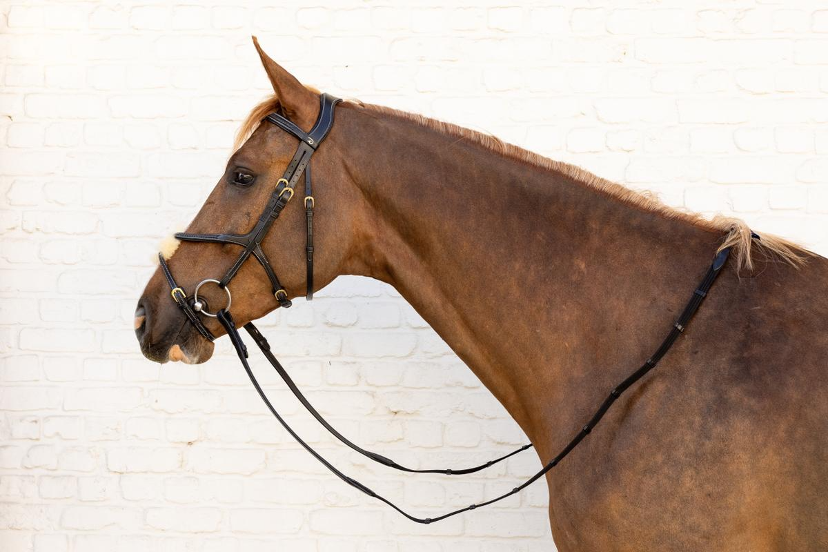 Dy'on D Collection Plaited Figure 8 Noseband Bridle