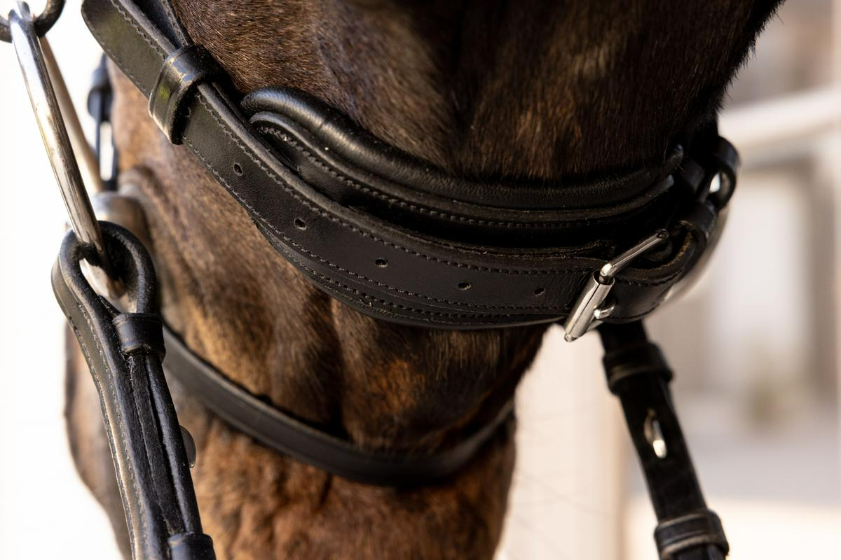 Dy'on Working Collection ComfoHead Bridle