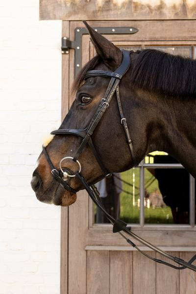 Dy'on New English Collection Plaited Figure 8 Noseband Bridle