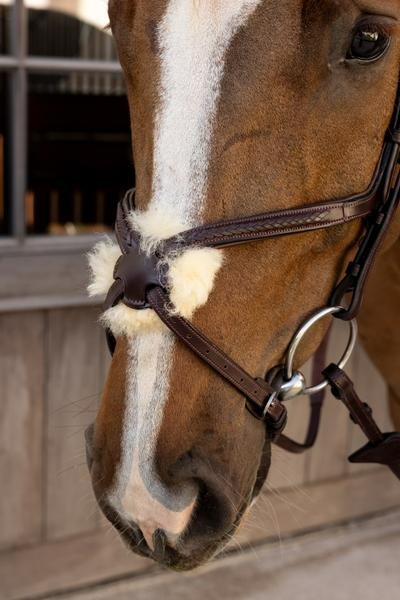 Dy'on New English Collection Plaited Figure 8 Noseband Bridle