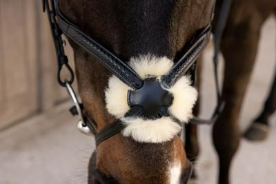 Dy'on New English Collection Plaited Figure 8 Noseband Bridle