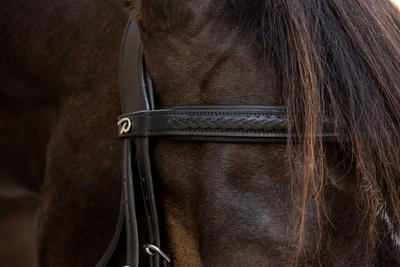 Dy'on New English Collection Plaited Figure 8 Noseband Bridle