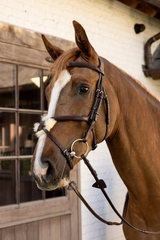 Dy'on New English Collection Plaited Figure 8 Noseband Bridle
