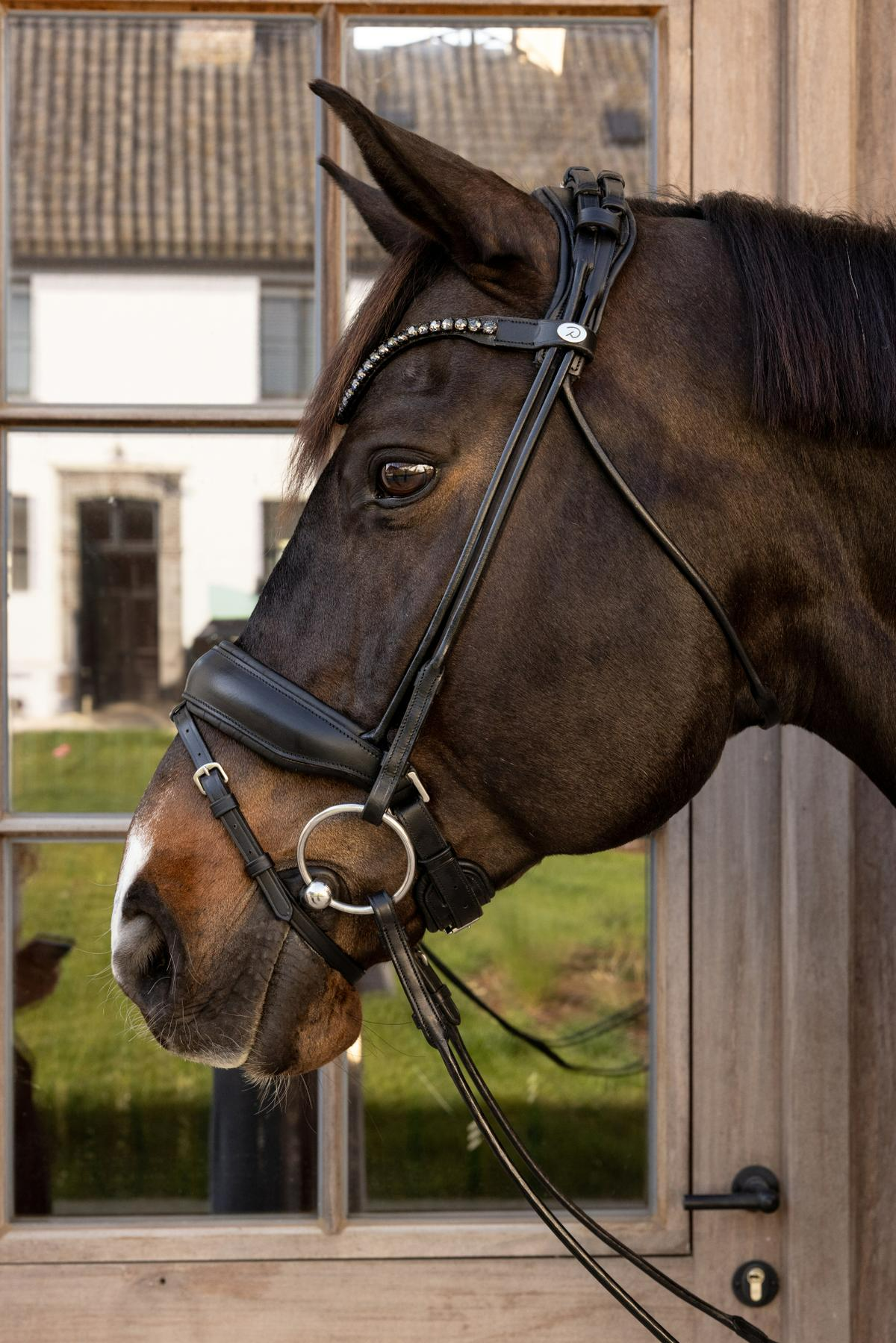 Dy'on Working Collection ComfoHead Bridle