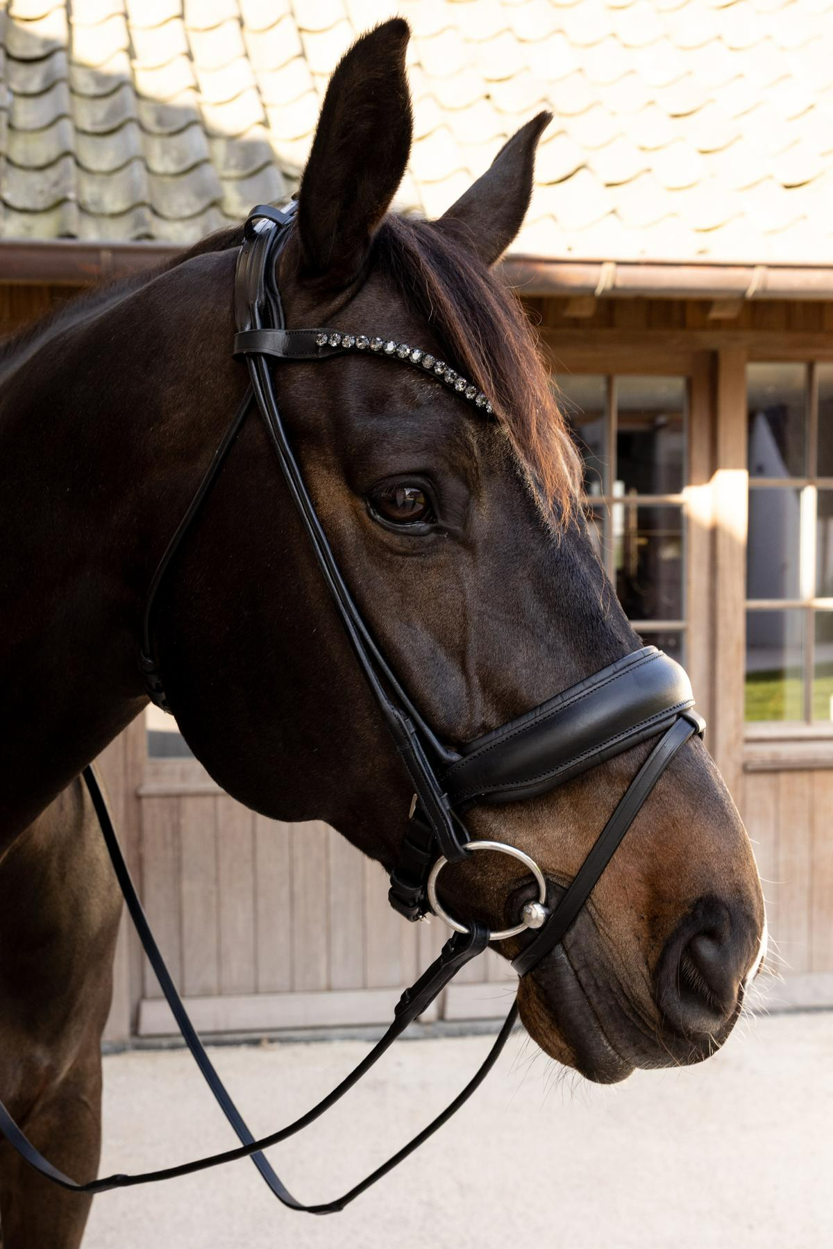 Dy'on Working Collection ComfoHead Bridle