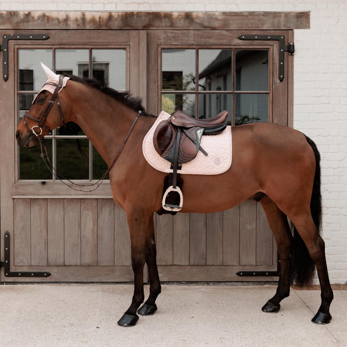Kentucky Horsewear Saddle Pad Sparkling Jumping