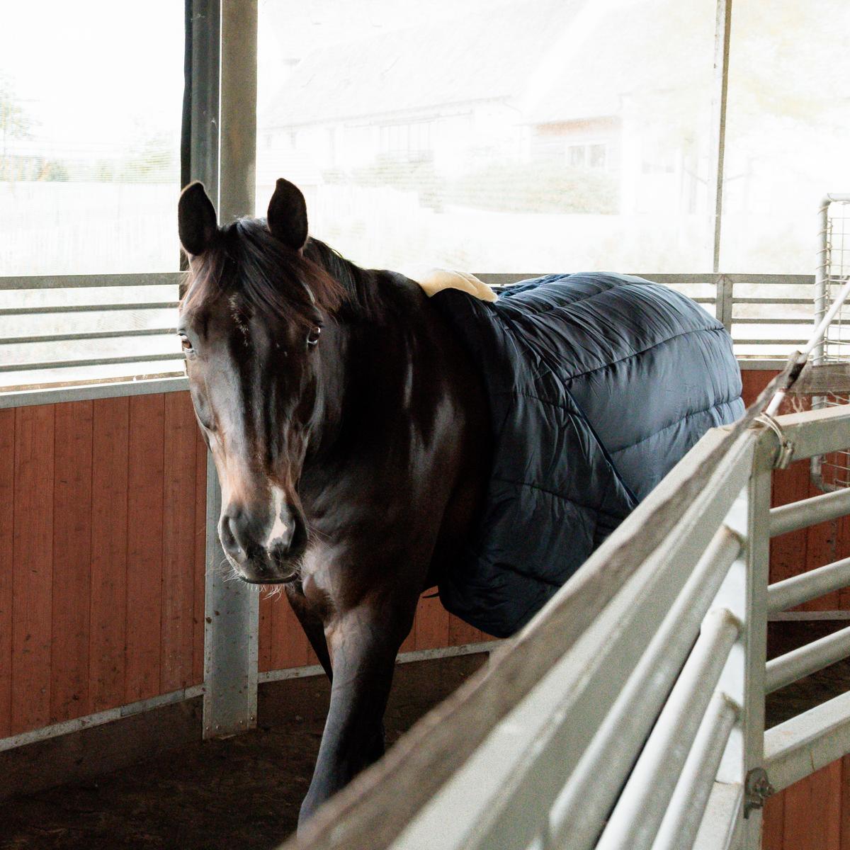 Kentucky Horsewear Nylon Walker Girth