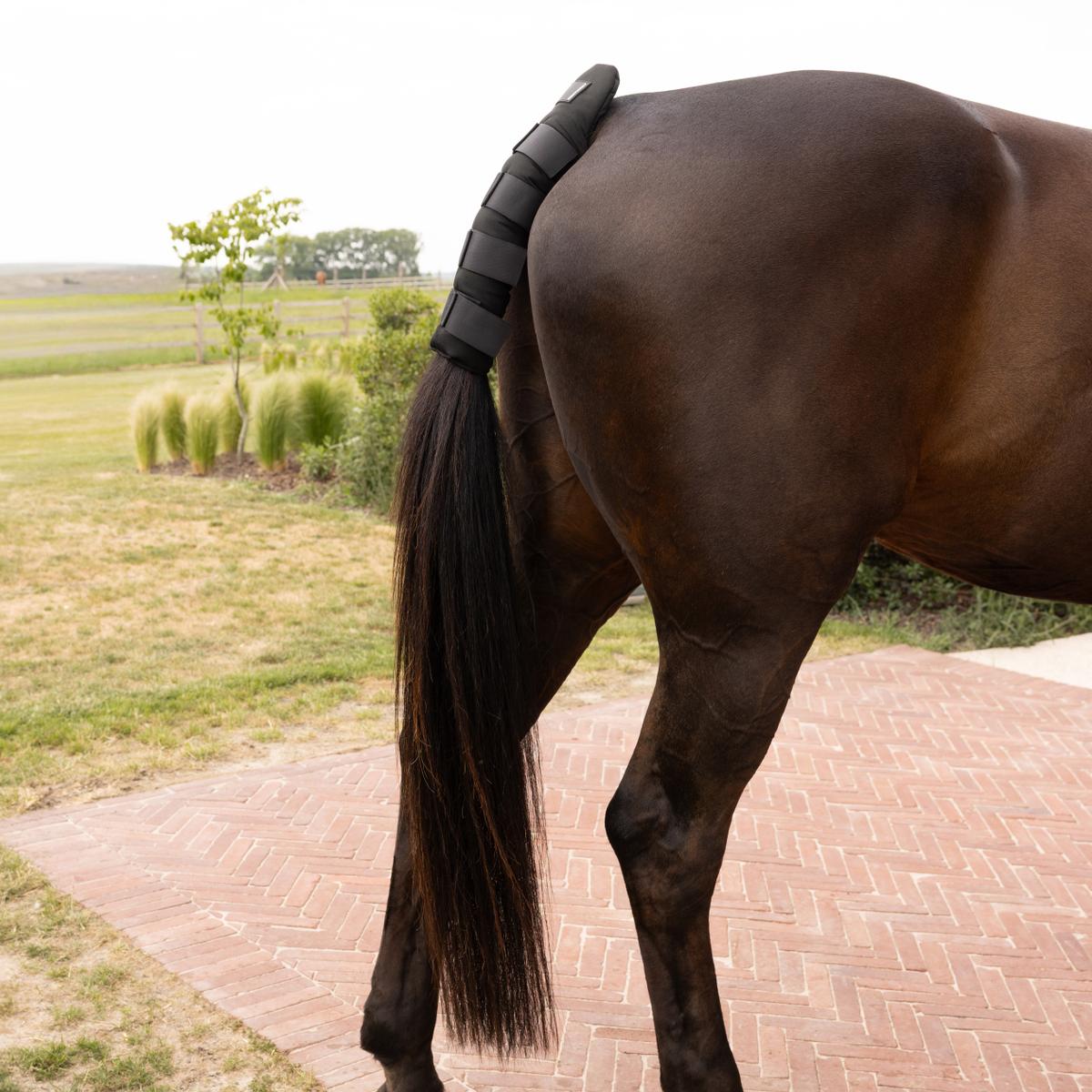 Kentucky Horsewear Tail Guard Pro