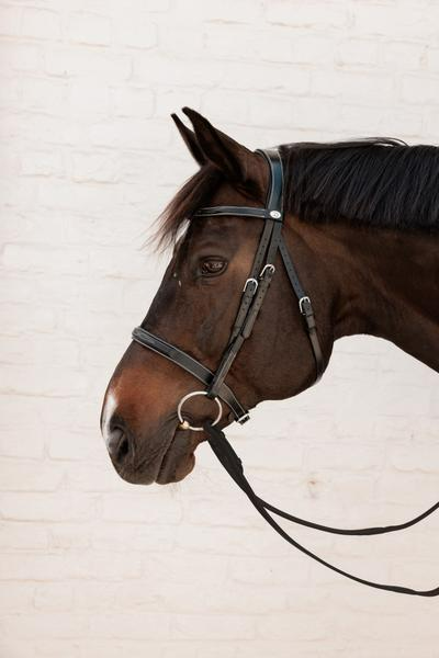 Dy'on Working Collection Cavesson Hunter Bridle
