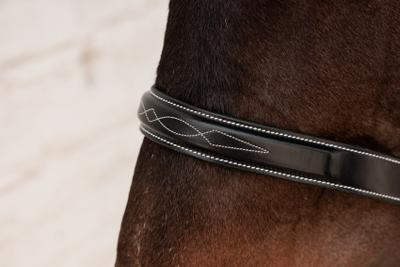 Dy'on Working Collection Cavesson Hunter Bridle