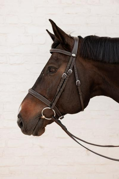 Dy'on Working Collection Cavesson Hunter Bridle