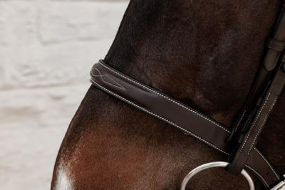 Dy'on Working Collection Cavesson Hunter Bridle
