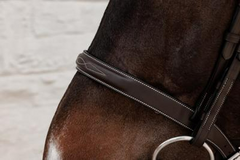 Dy'on Working Collection Cavesson Hunter Bridle
