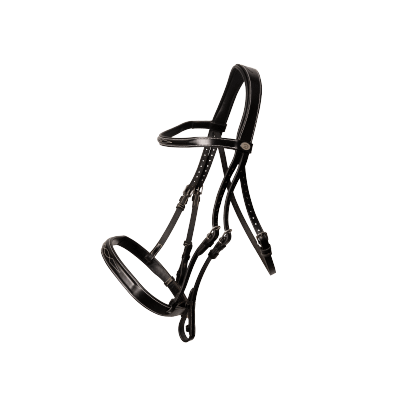 Dy'on Working Collection Cavesson Hunter Bridle