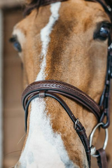 Dy'on New English Collection Plaited Flash Noseband Bridle