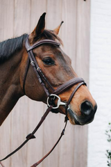 Dy'on New English Collection Plaited Flash Noseband Bridle with Pull back
