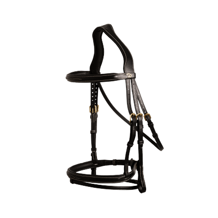 Dy'on D Collection Flash Noseband Bridle