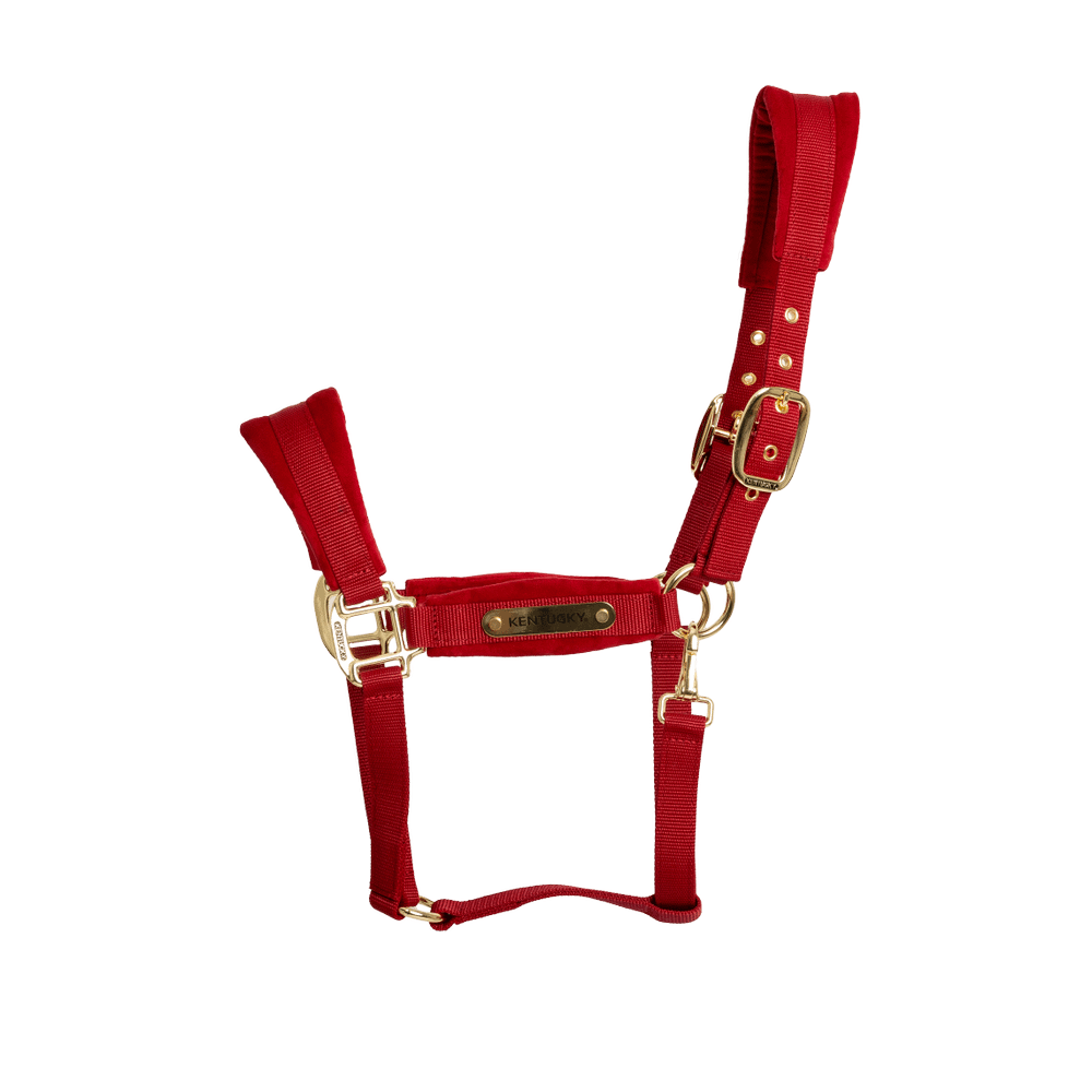 Kentucky Horsewear Velvet Halter