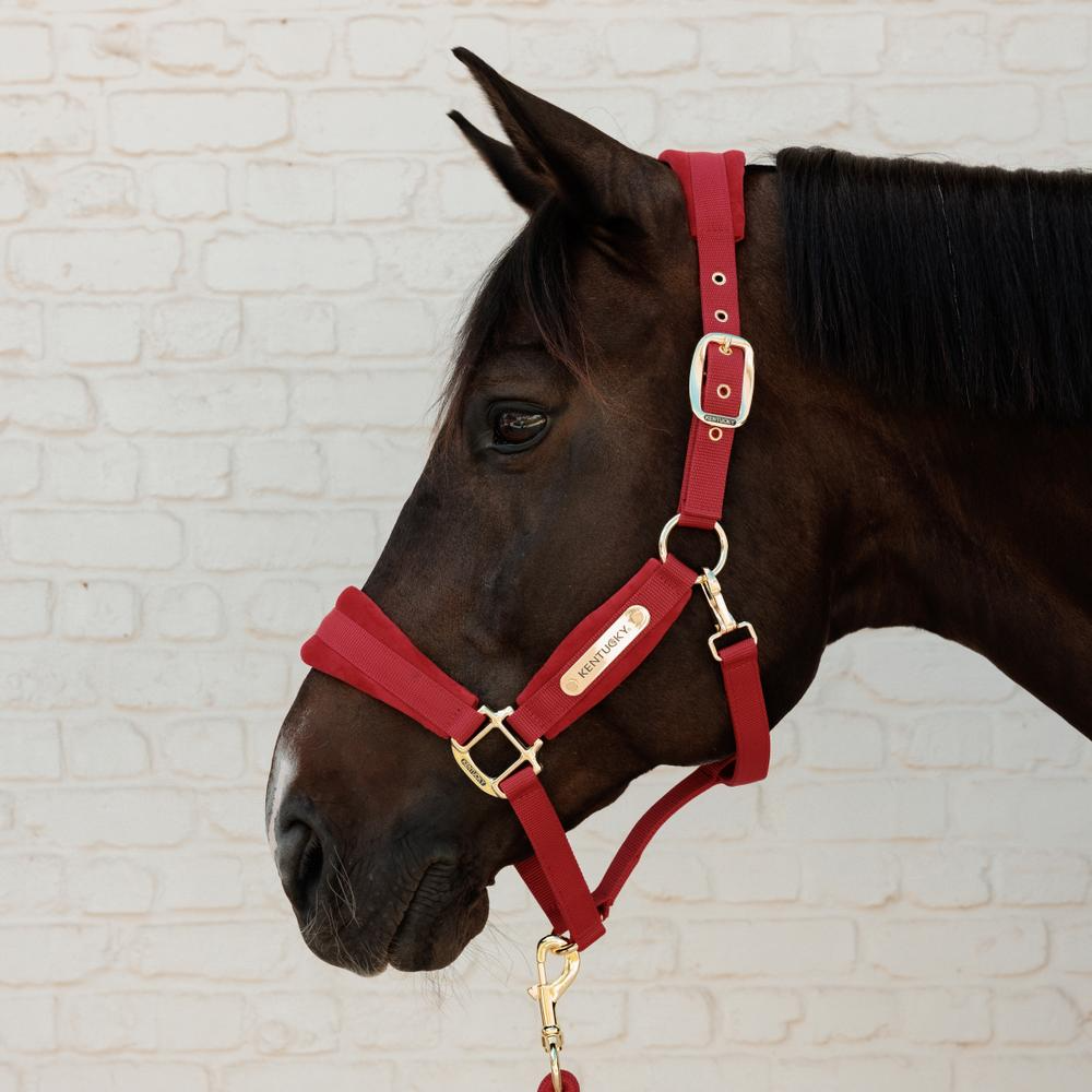 Kentucky Horsewear Velvet Halter