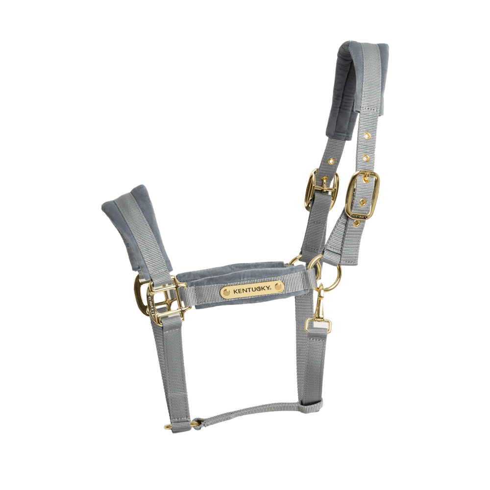 Kentucky Horsewear Velvet Halter