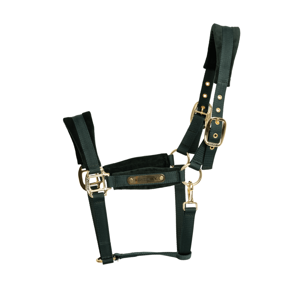 Kentucky Horsewear Velvet Halter