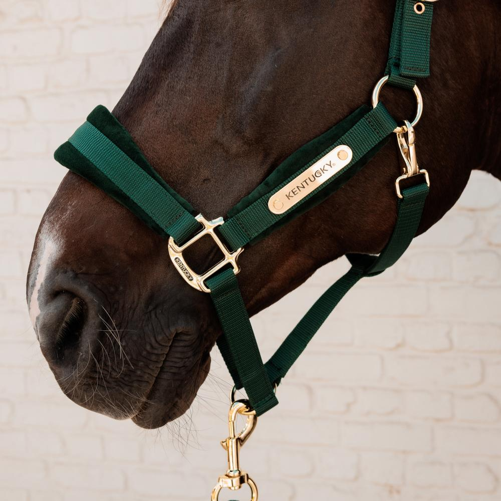 Kentucky Horsewear Velvet Halter