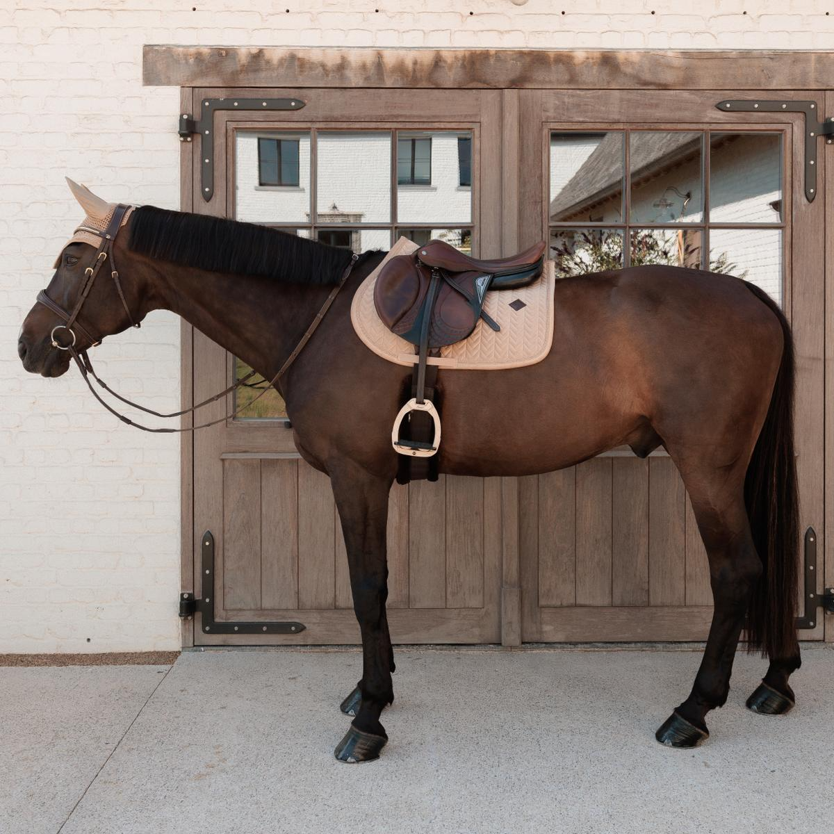 Kentucky Horsewear Saddle Pad Velvet Mini Pearls Jumping
