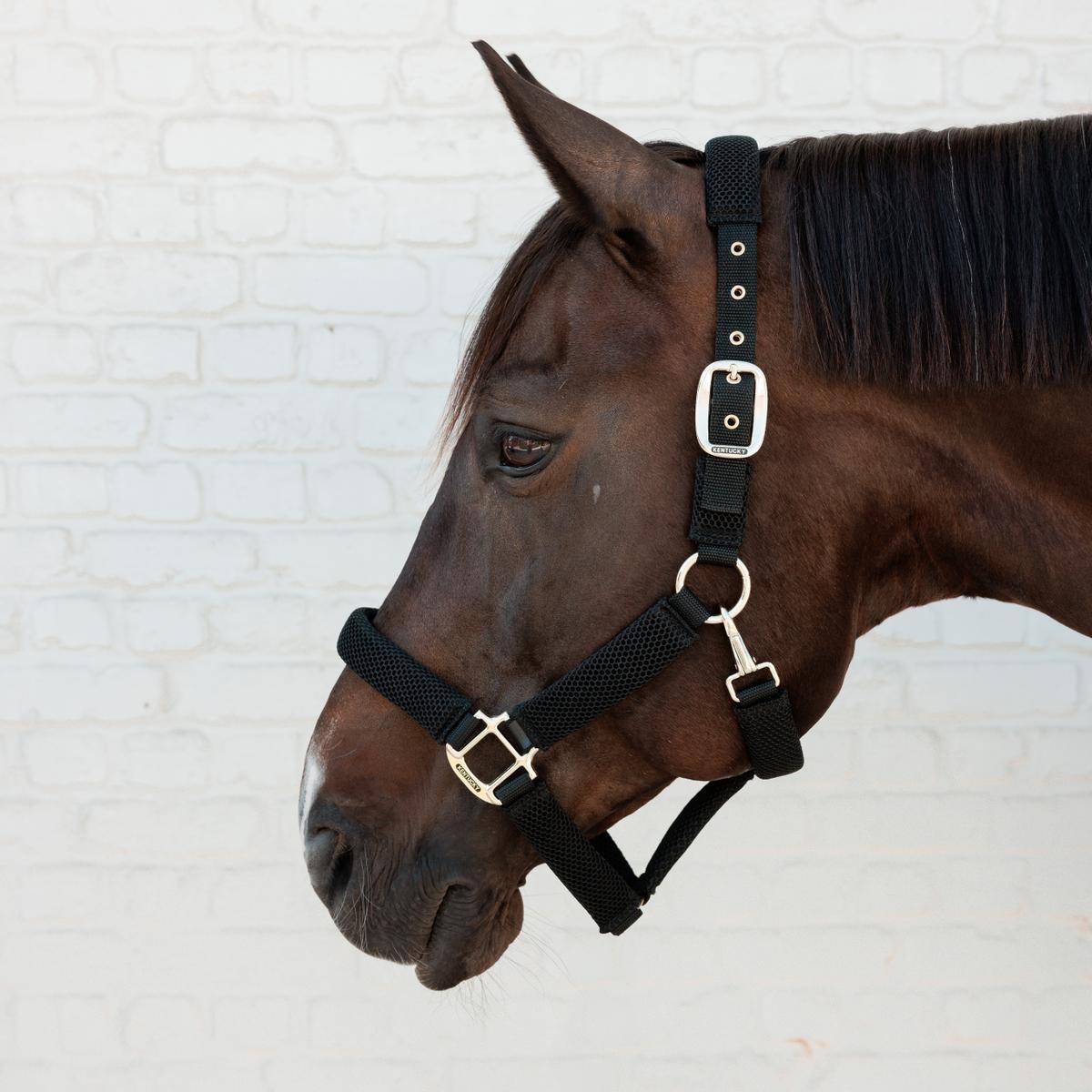 Kentucky Horsewear Halter 3D Mesh