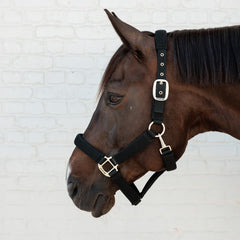 Kentucky Horsewear Halter 3D Mesh