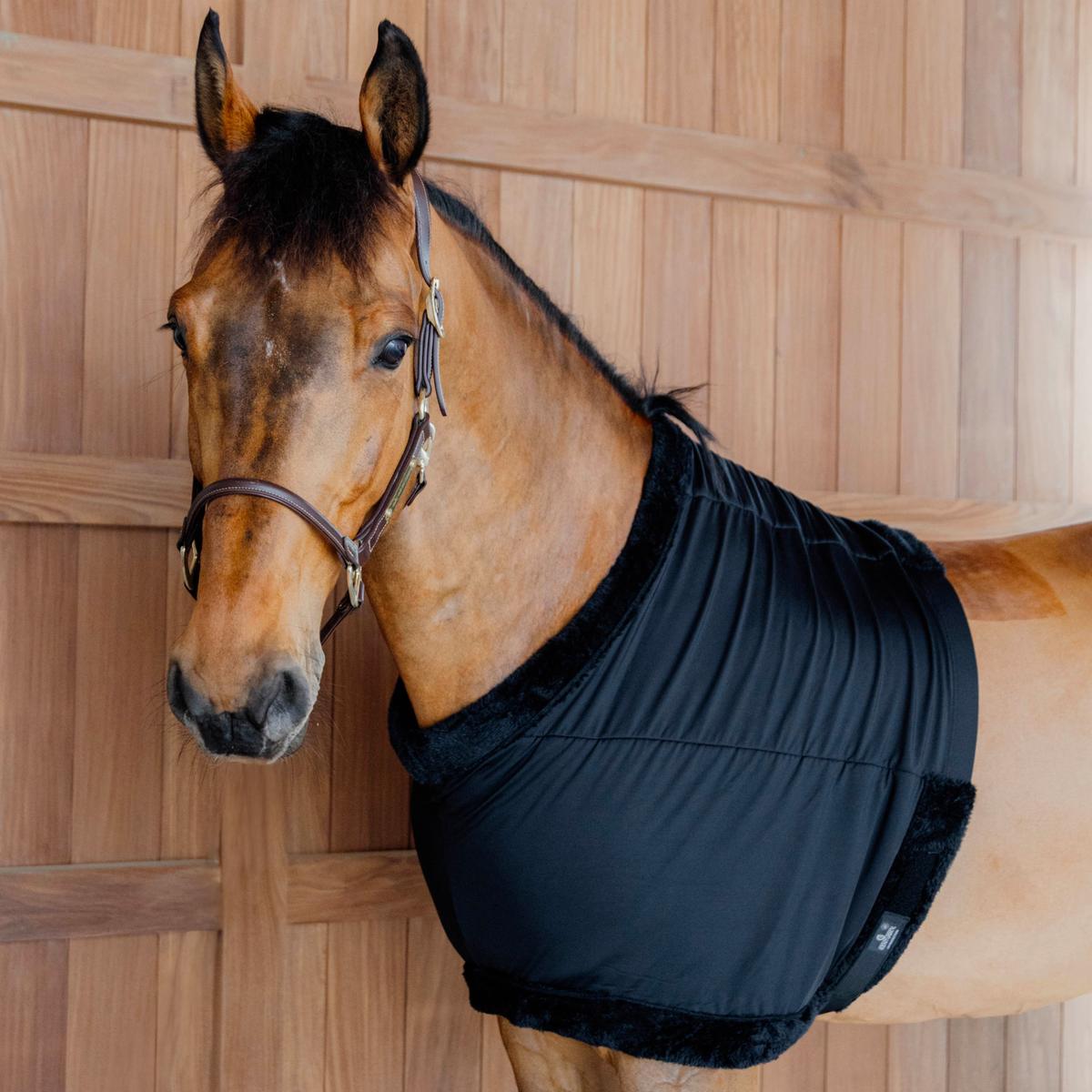 Kentucky Horsewear Chest Protection
