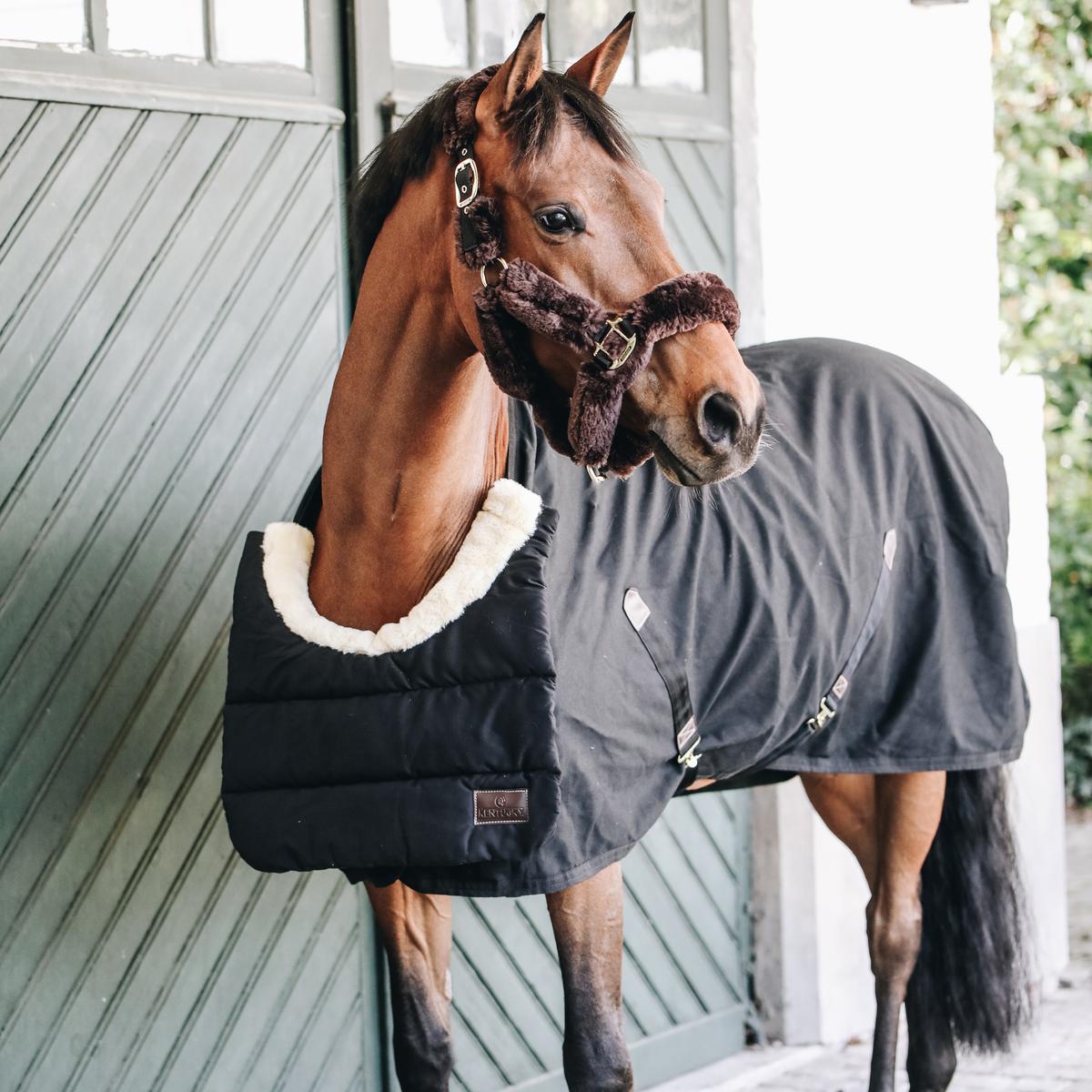 Kentucky Horsewear Horse BIB Winter