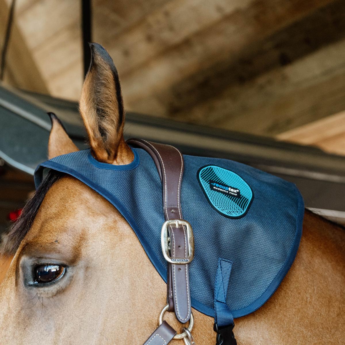 Kentucky Horsewear Magnetic Neck Protector Recuptex