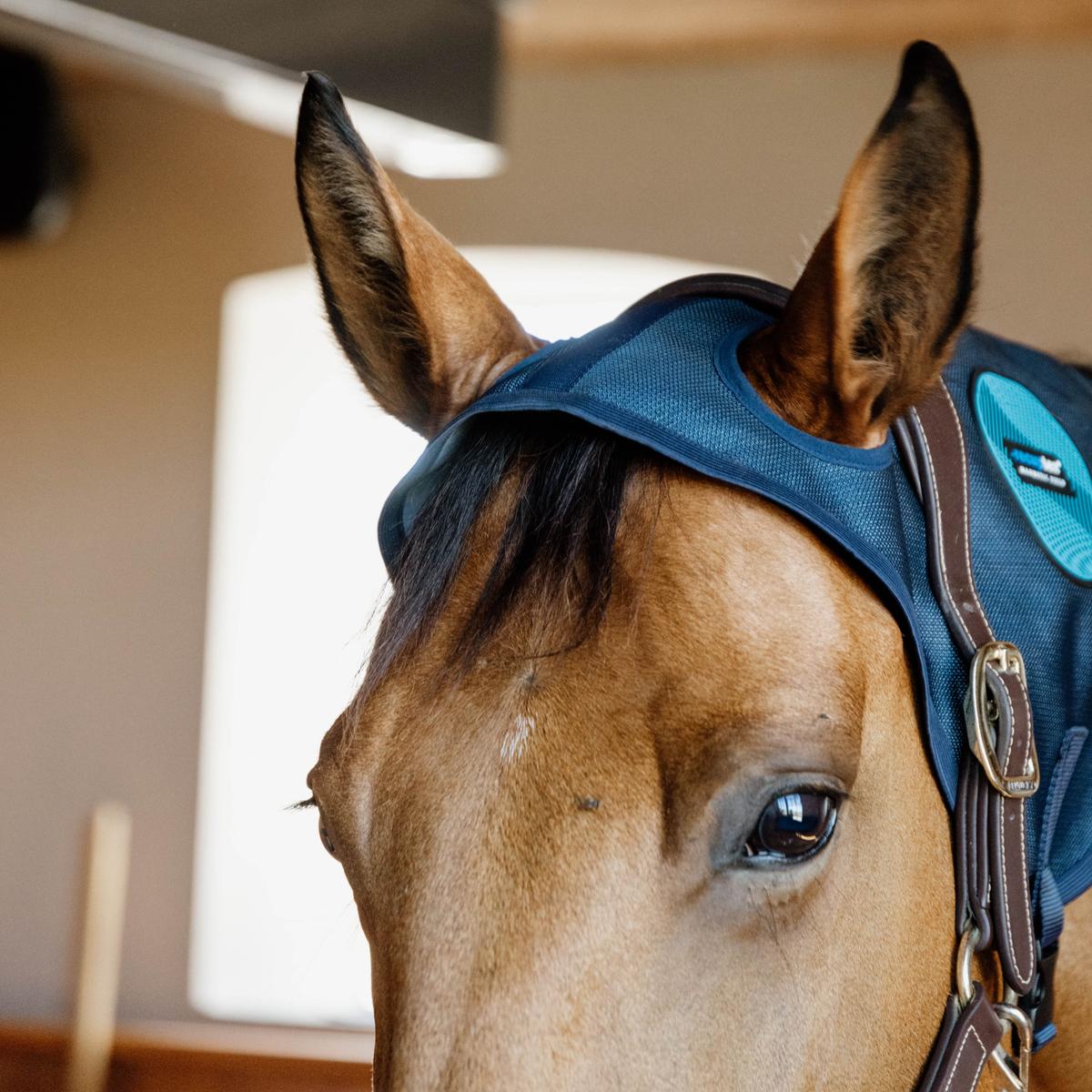 Kentucky Horsewear Magnetic Neck Protector Recuptex