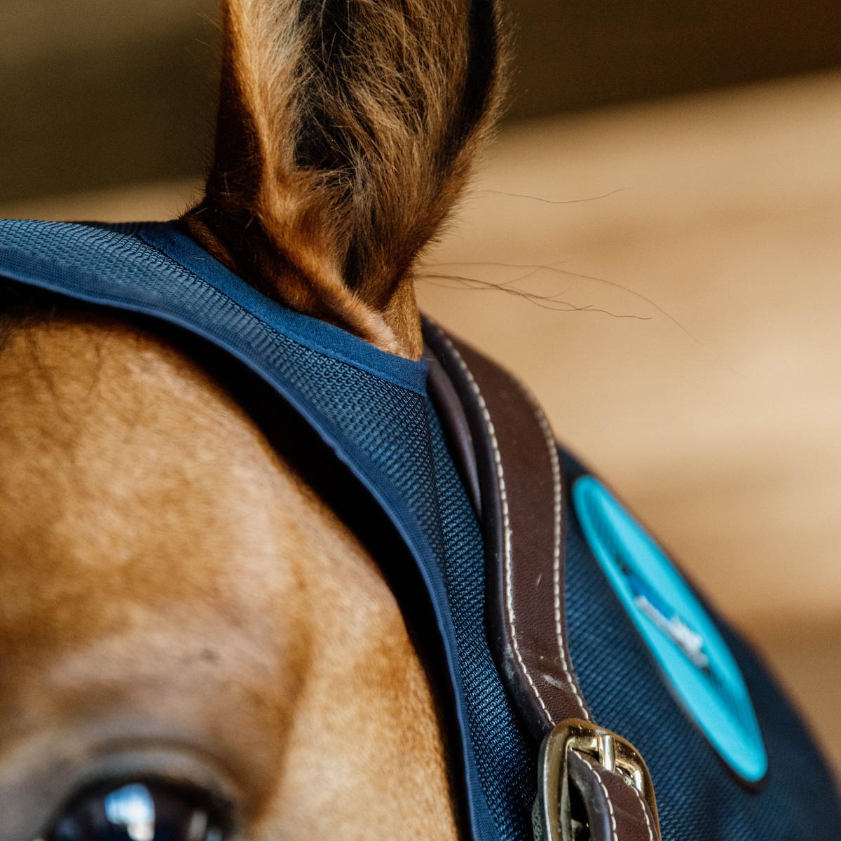 Kentucky Horsewear Magnetic Neck Protector Recuptex