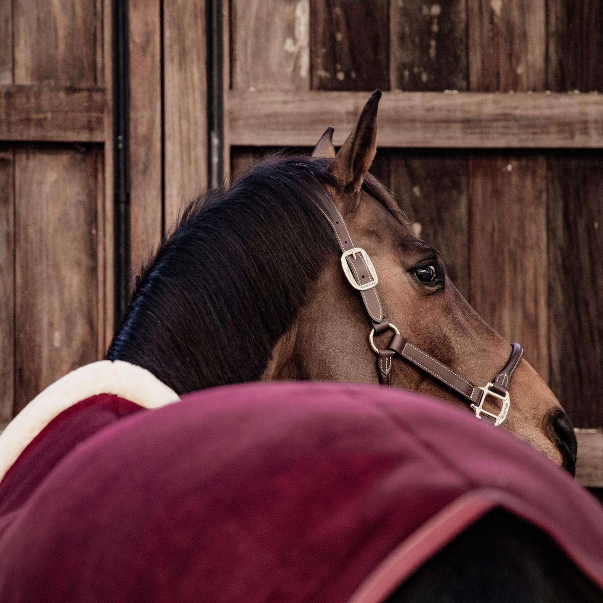 Kentucky Horsewear Fleece Show Rug Heavy