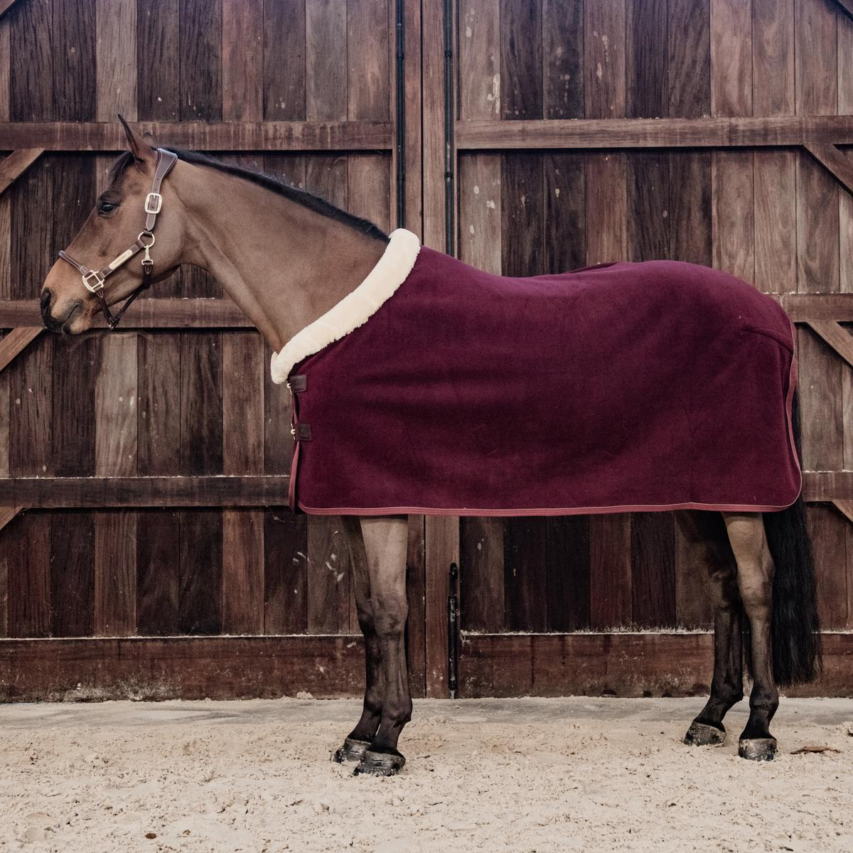 Kentucky Horsewear Fleece Show Rug Heavy