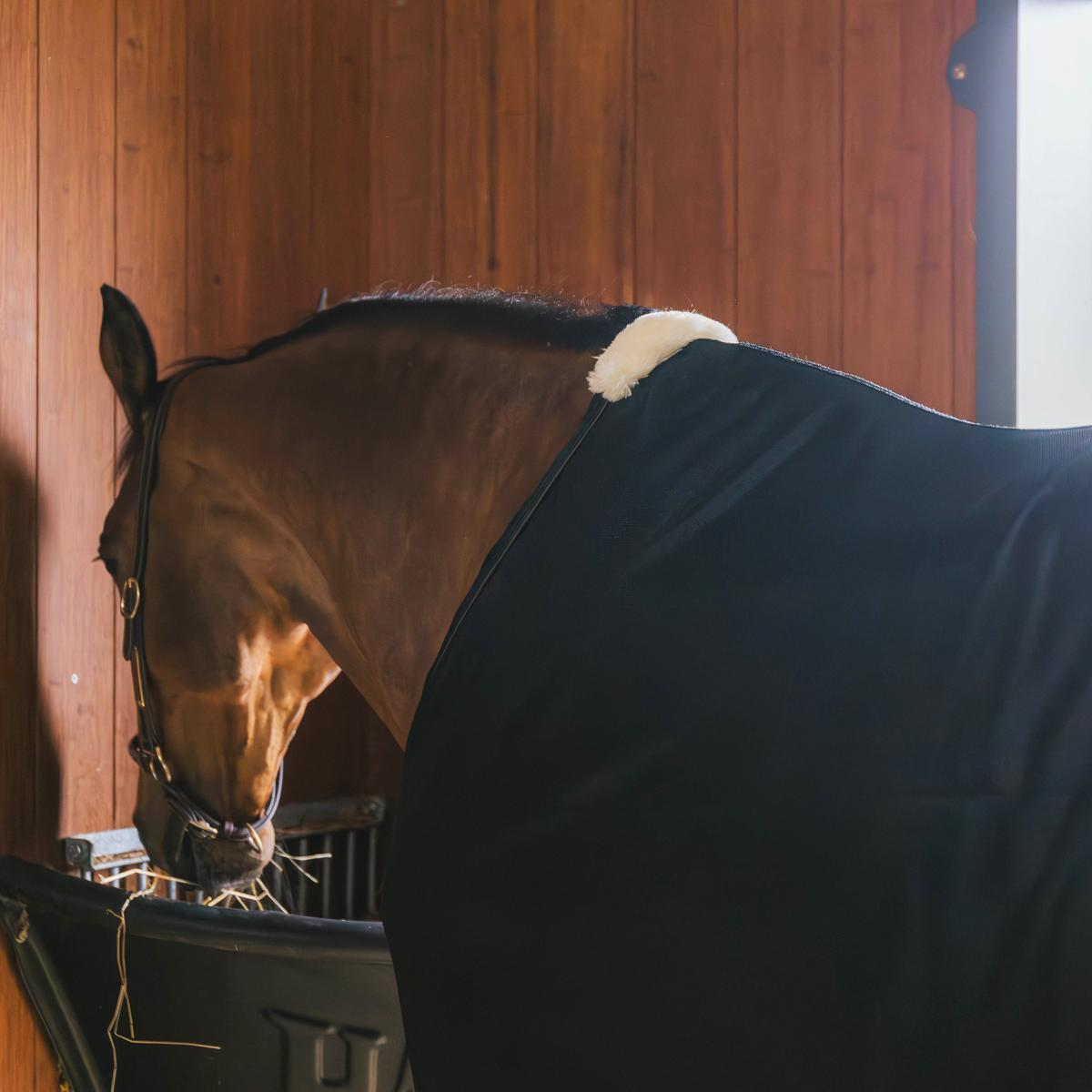 Kentucky Horsewear Mesh Fly Sheet