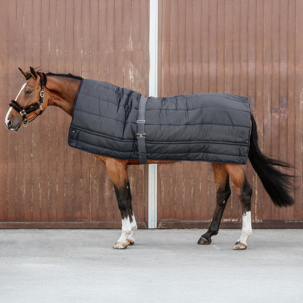 Kentucky Horsewear Horse Duvet