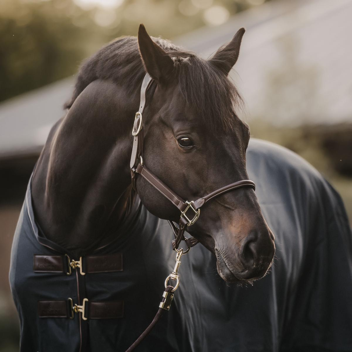 Kentucky Horsewear Mesh Fly Sheet