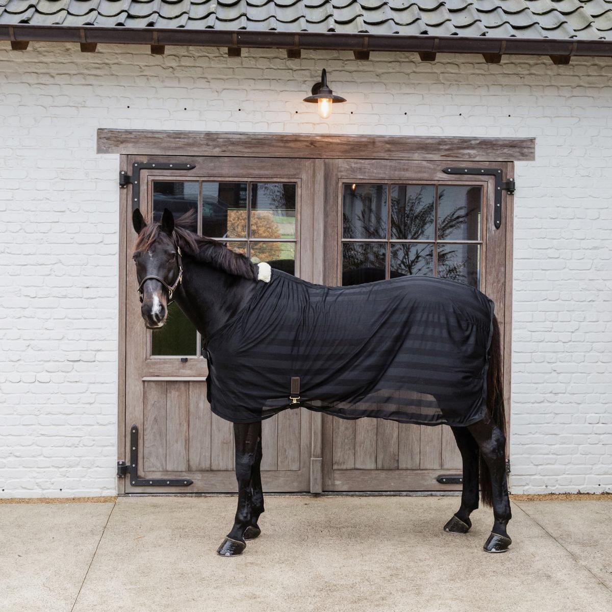 Kentucky Horsewear Light Striped Mesh Fly Sheet