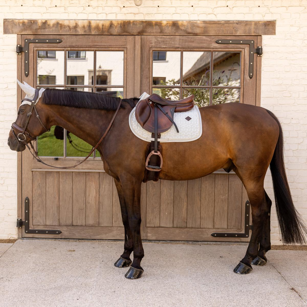 Kentucky Horsewear Saddle Pad Velvet Printing Jumping
