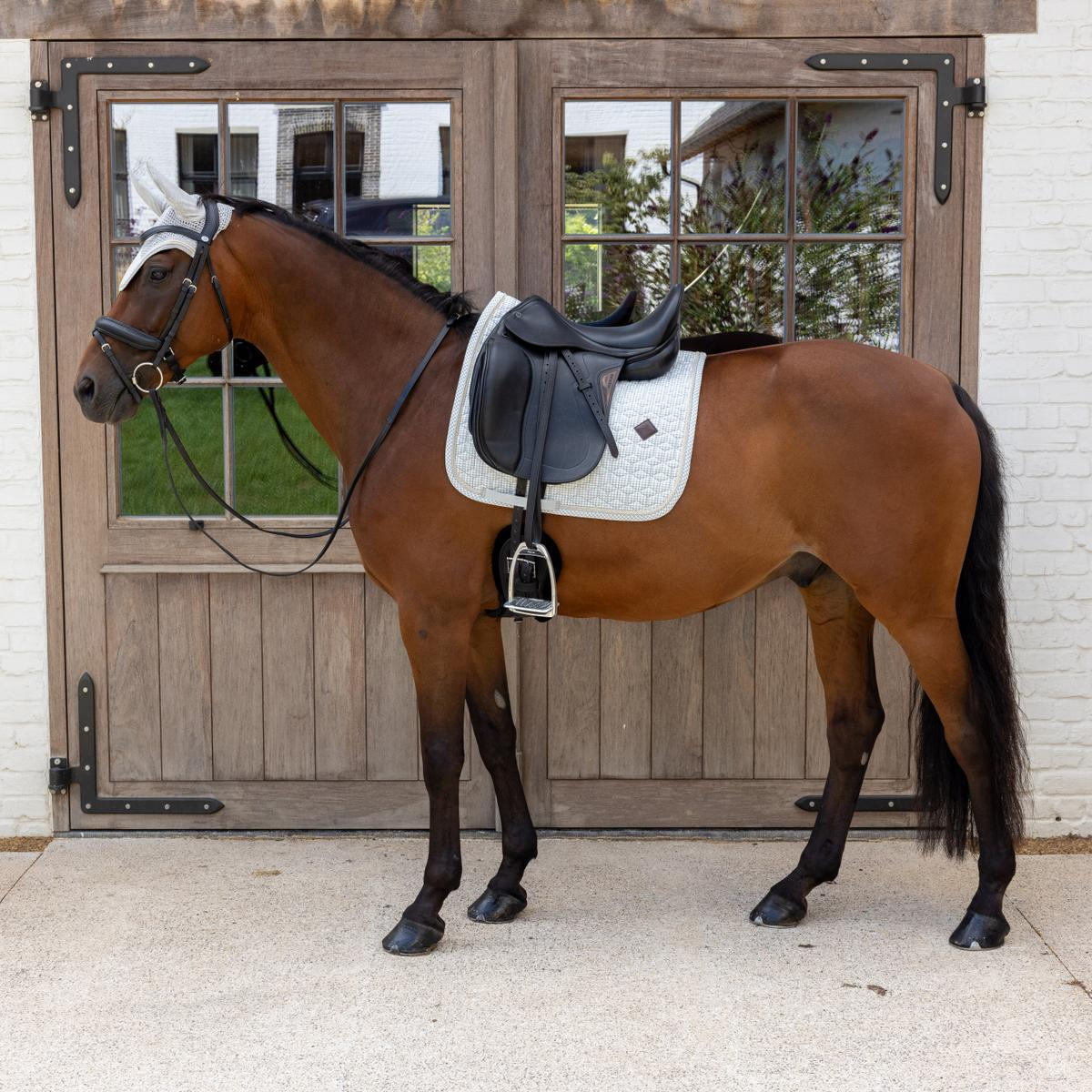 Kentucky Horsewear Saddle Pad Velvet Printing Dressage