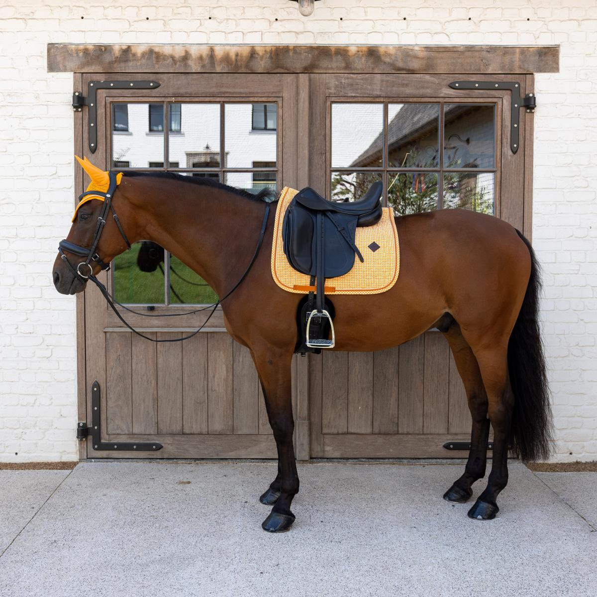 Kentucky Horsewear Saddle Pad Velvet Printing Dressage